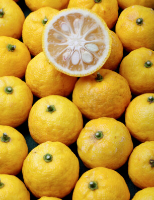 5x yuzu – dé trend van 2026?