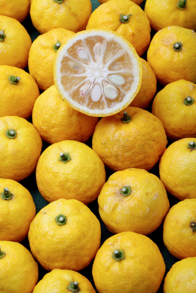 5x yuzu – dé trend van 2026?