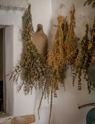 hoe je een provençaalse kruidenmix zelf maakt (en waarom dat de moeite waard is)