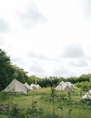 de culinairste eco-camping van de waddeneilanden: De Waelde Tuin