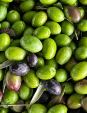 extra vierge olijfolie? Mooi niet: test onthult dat de meeste olijfolie de kwaliteitseis niet haalt