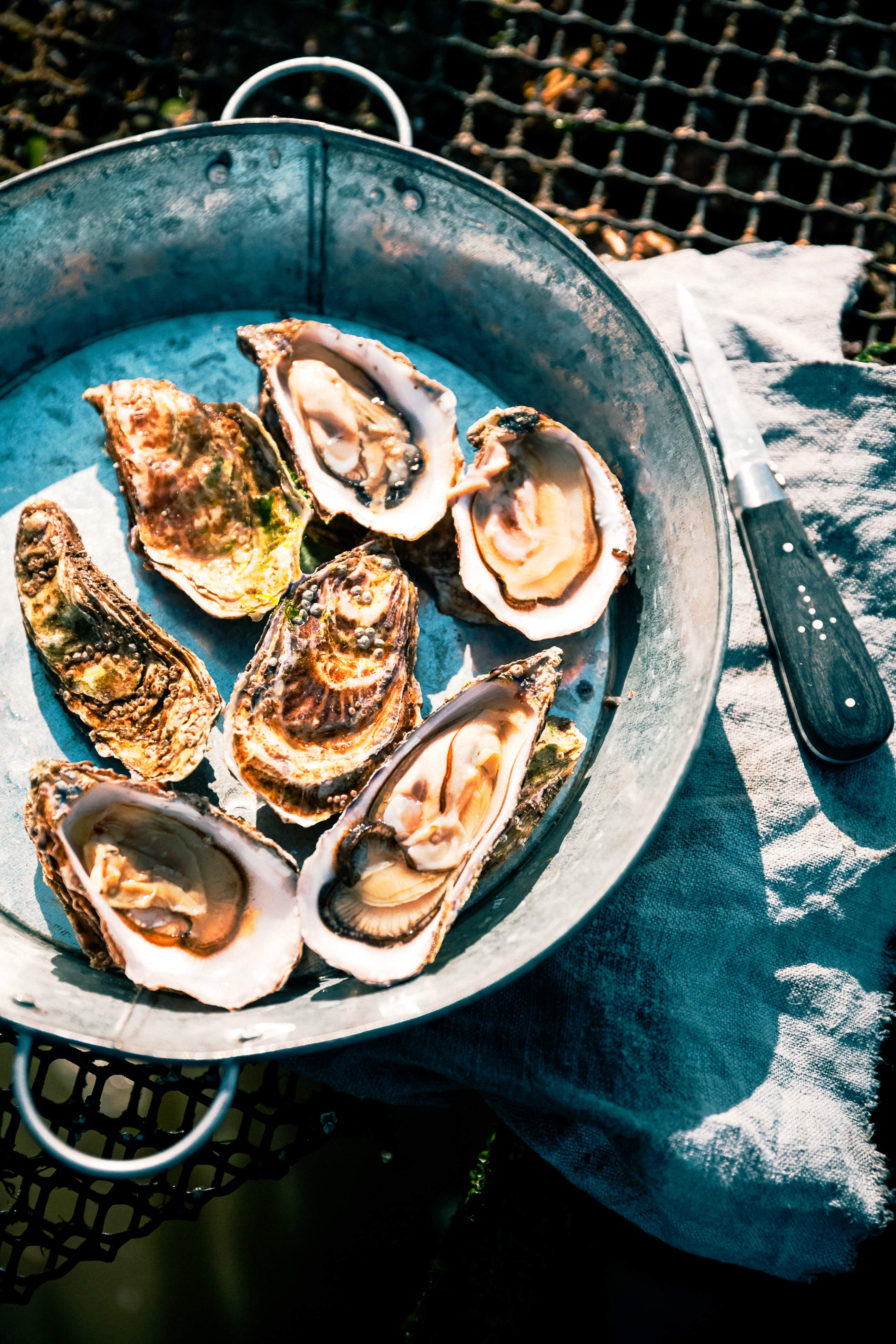 Oesters Zo Maak Je Ze Makkelijk Open En Zo Bereid Je Ze Delicious Magazine